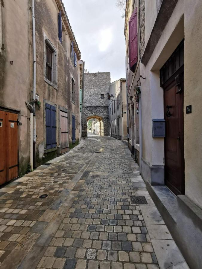 Le Coq Du Nord - Mailhac Gite Et Chambres D'Hotes Exterior foto